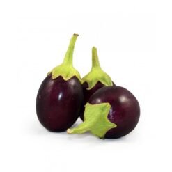 Eggplant