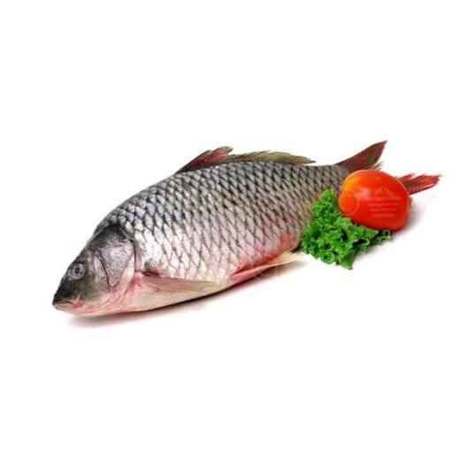 Karfu Fish
